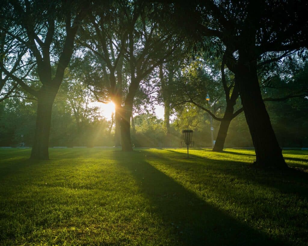 Sunlight coming through the trees with a disc golf basket at Beaches Disc Golf Course.