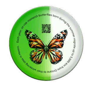 butterfly disc