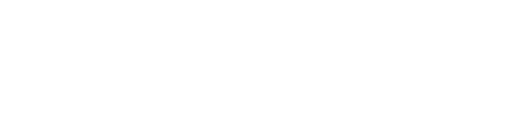 chainlink text logo horizontal white
