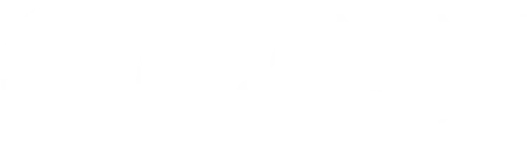 chainlink text logo horizontal white