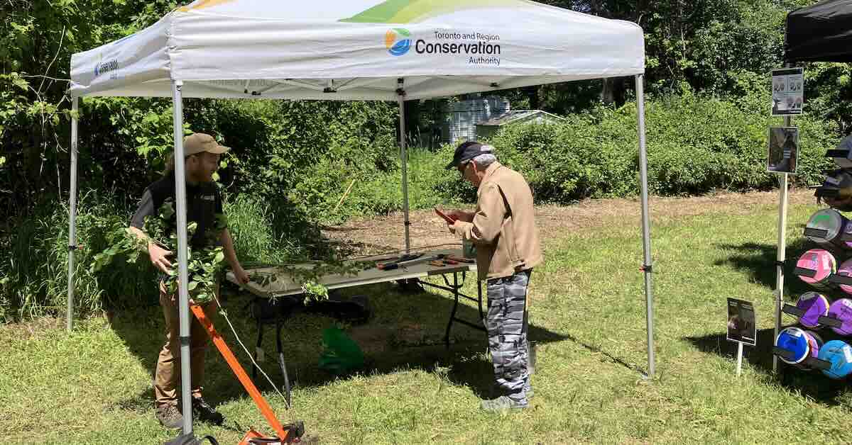 chris bialek of the trca educates people about invasive species