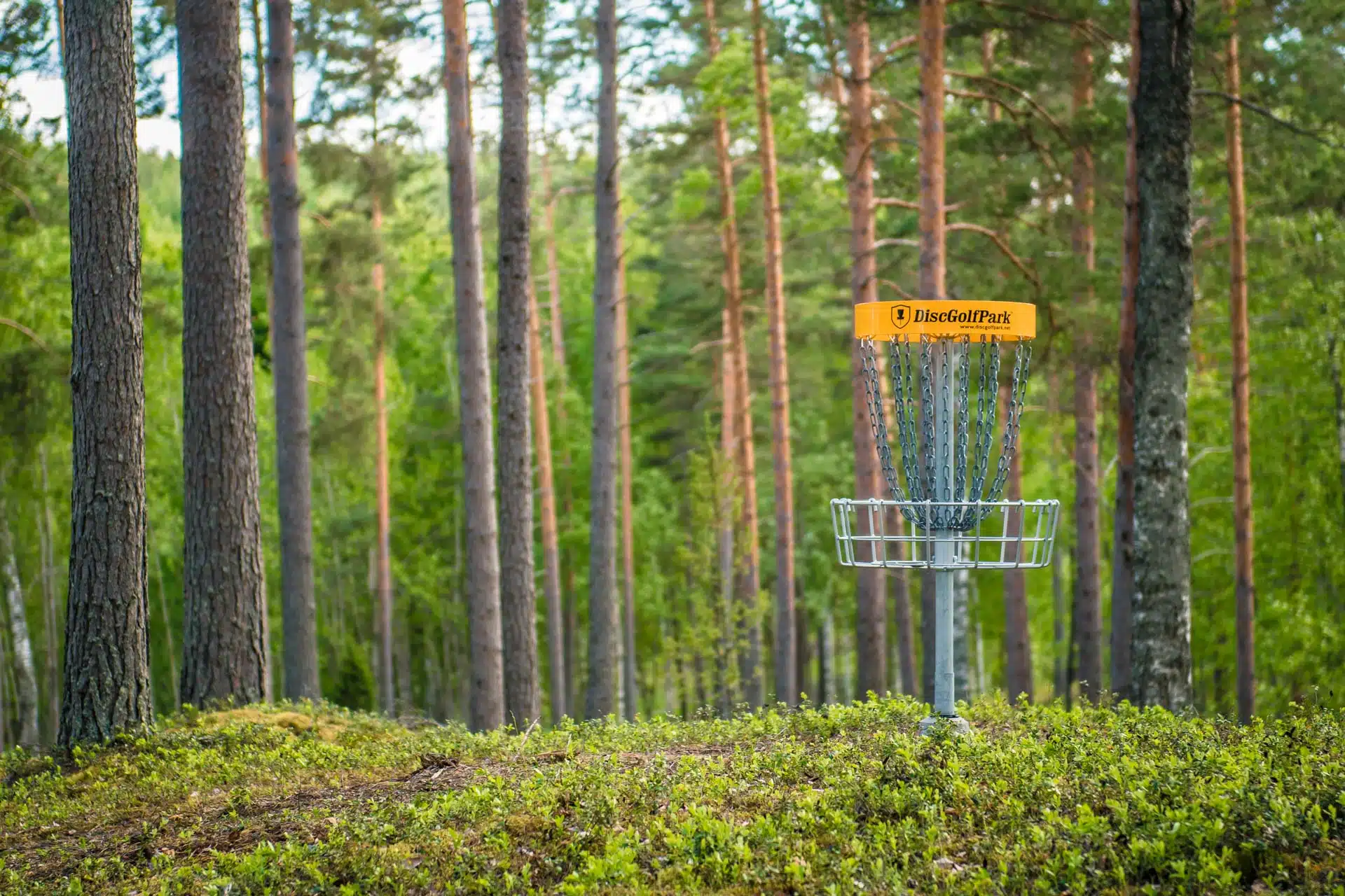DiscGolfPark Pro Permanent Target - Image 2