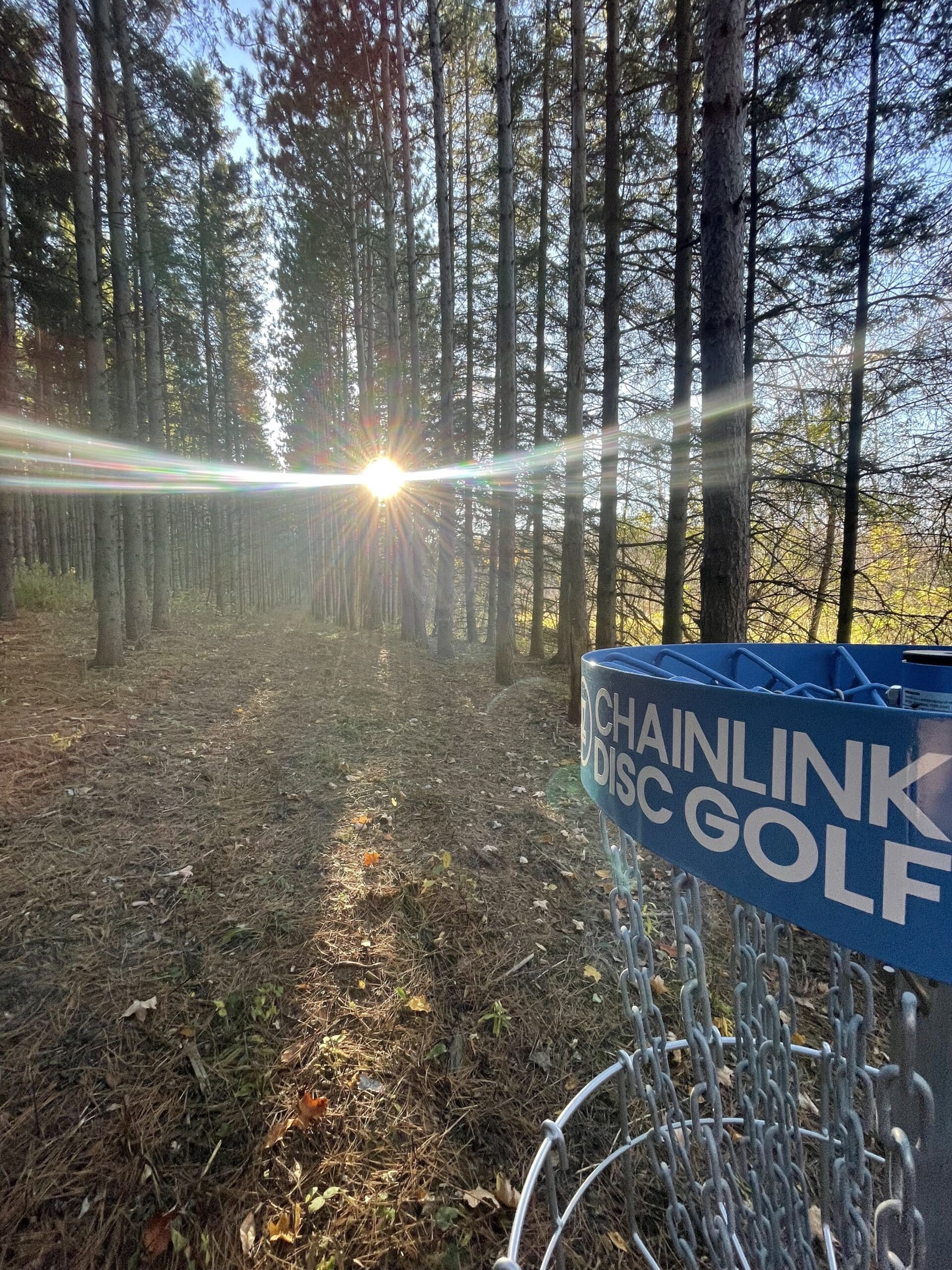 hole 17 at albion hills looking back through pine plantation photo credit jeff mackeigan