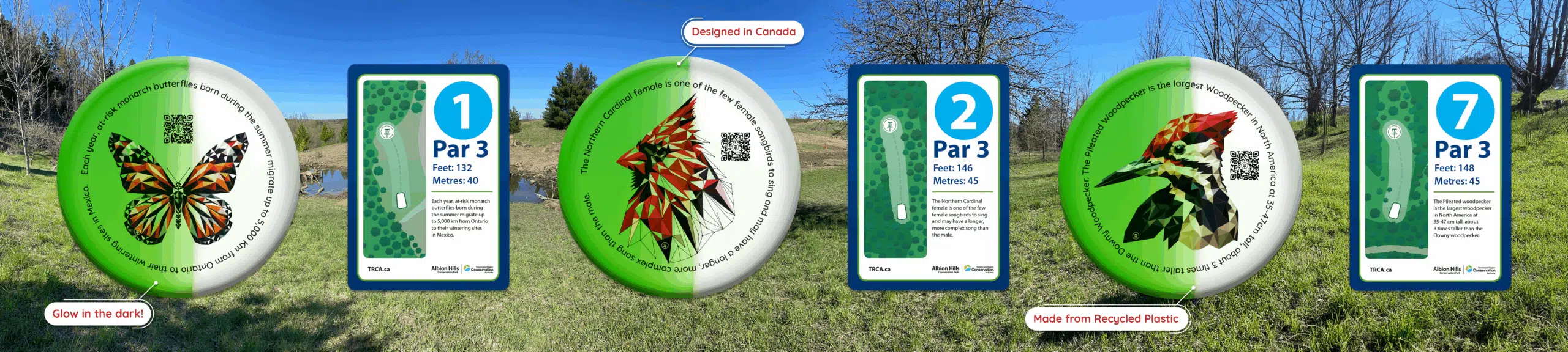 panarama discsforsigns albionhills