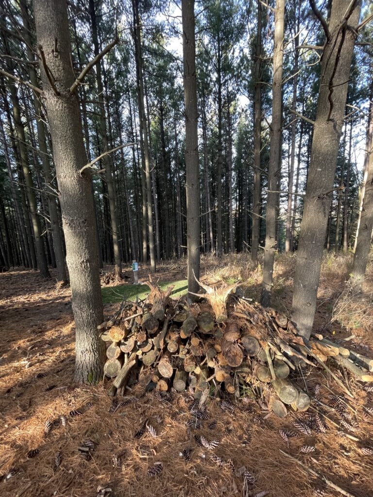 rabbitat at albion hills 1 photo credit jeff mackeigan