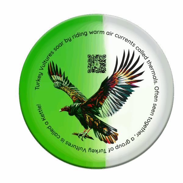 vulture disc
