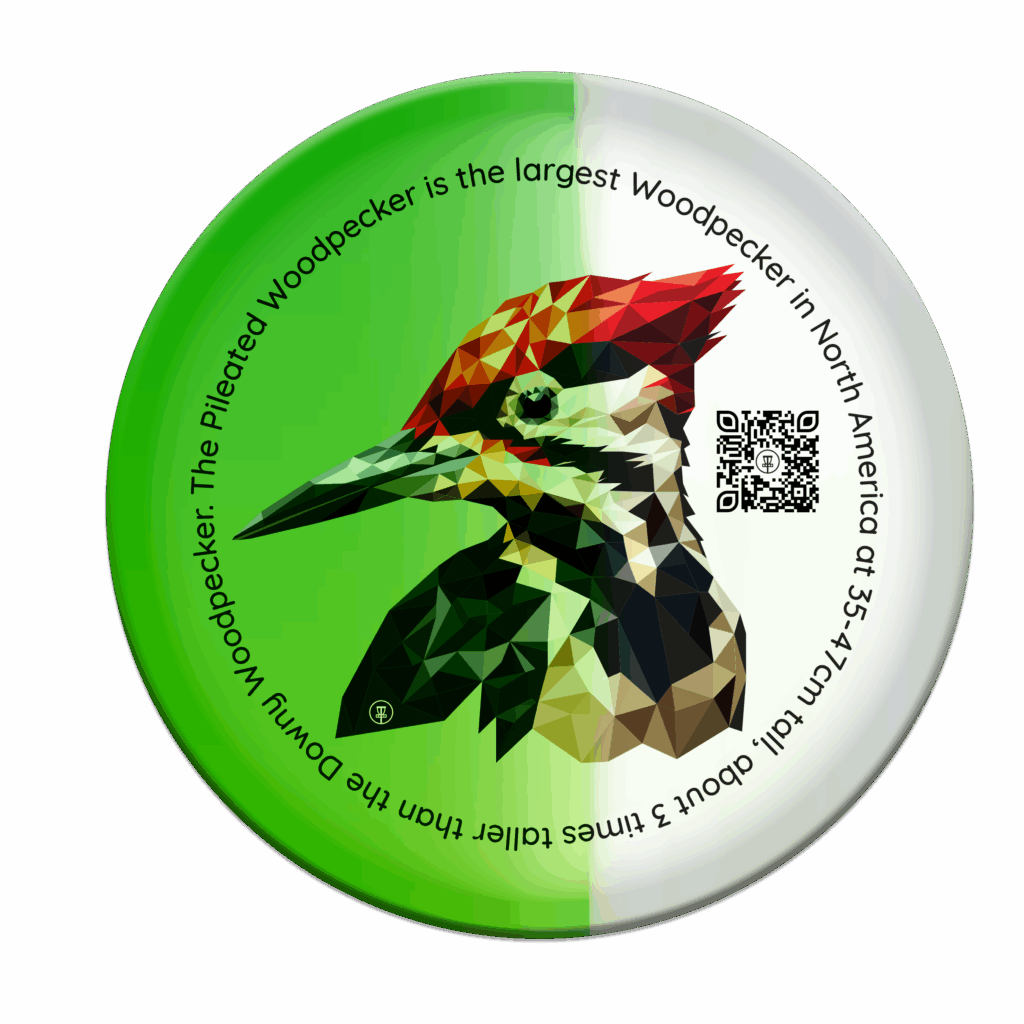 woodpecker disc