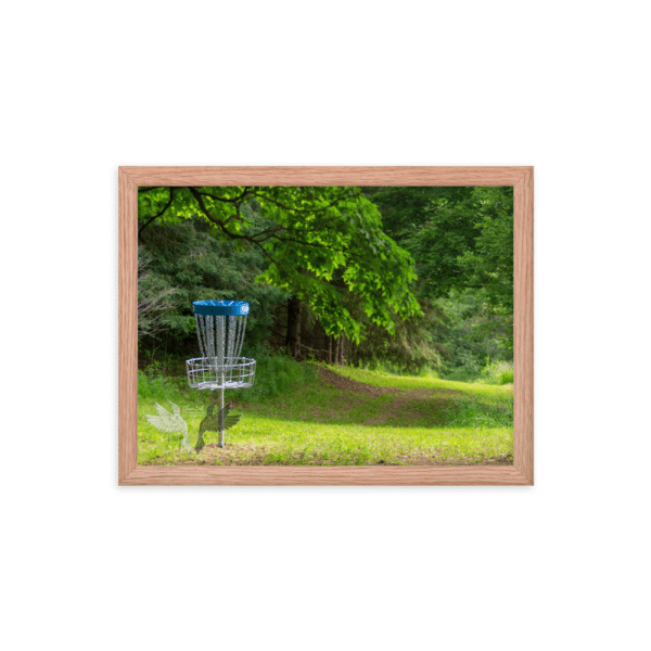 framed poster hole 4 at albion albatross