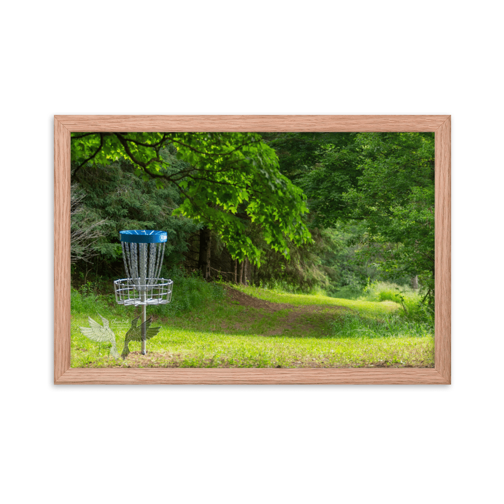 Framed Poster - Hole 4 at Albion Albatross