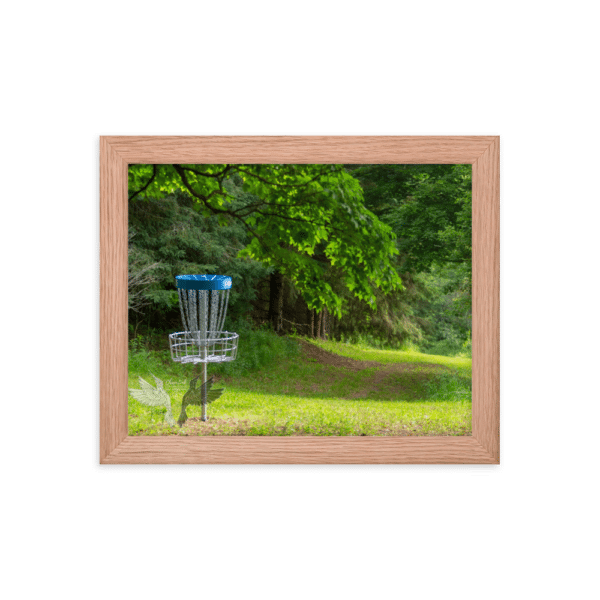 framed poster hole 4 at albion albatross