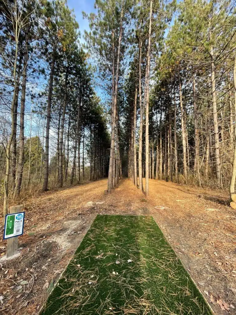 hole 18 albion albatross