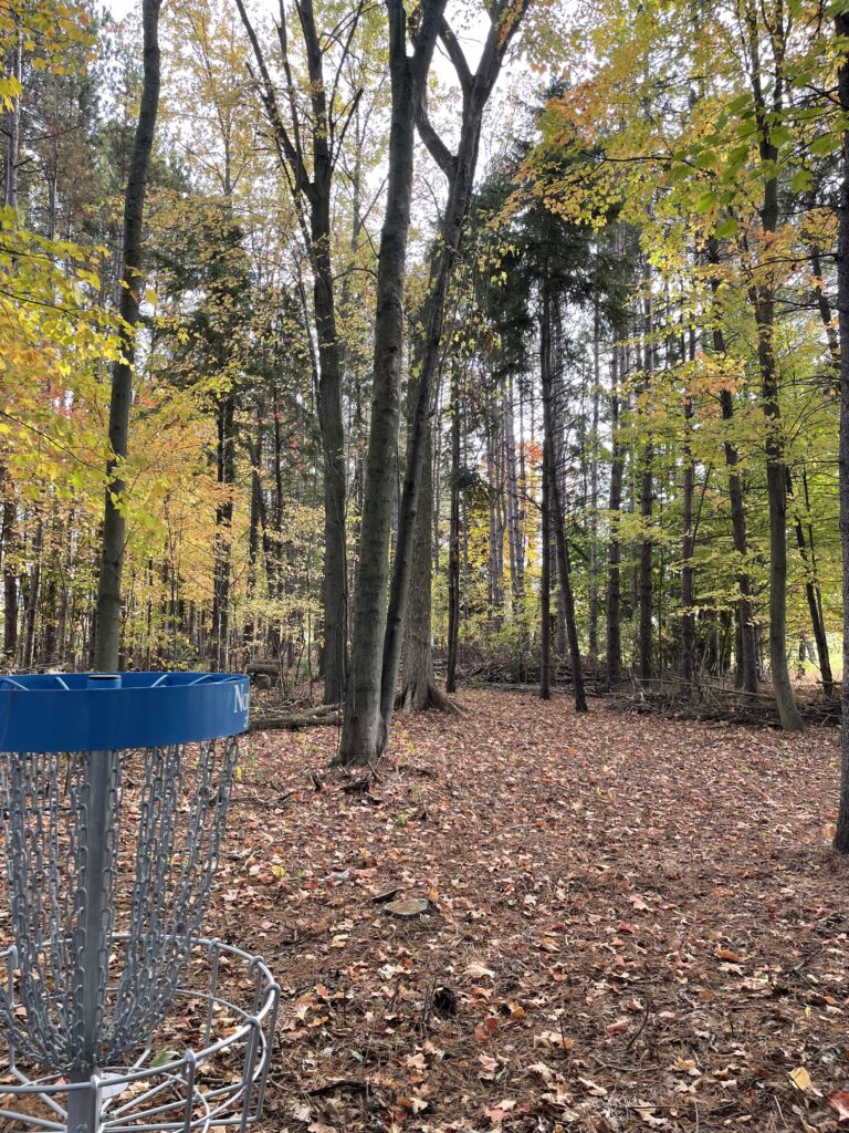 A disc golf basket in a forested fairway on a beautiful fall day at Wind-Del Community Park in Norfolk County.