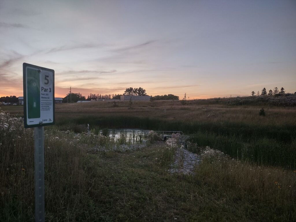 township of wellesley mark green