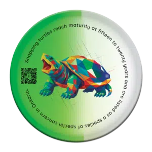 turtle cldisc