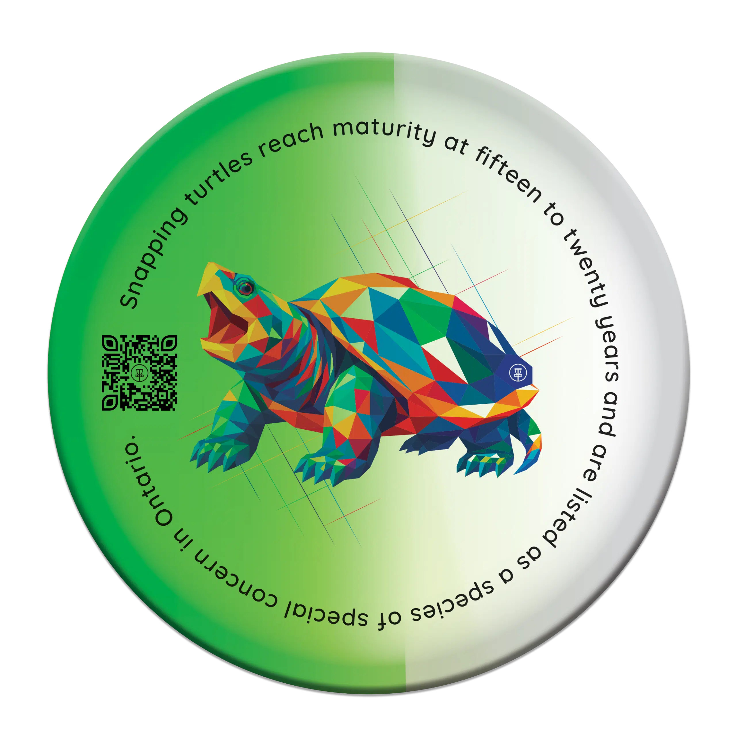turtle cldisc